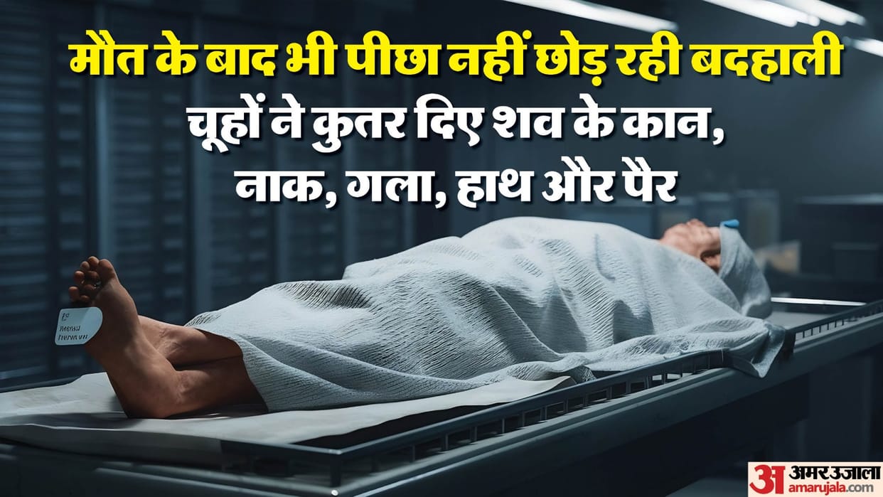Rats bit dead body kept in the deep fridge in hisar