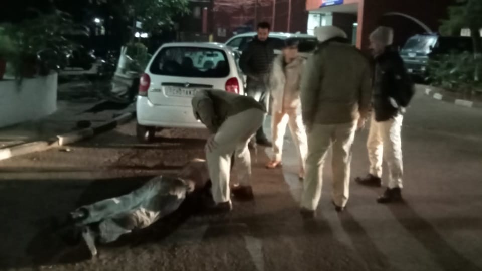 Scuffle with policemen in chandigarh NRI beating