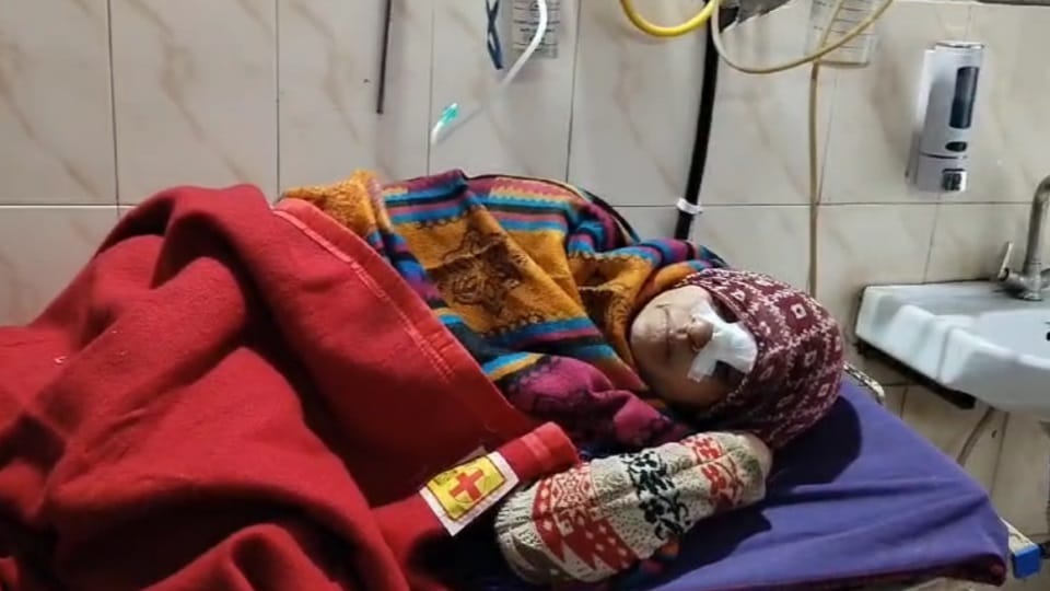 Two women living in village badly injured due to jackal attack in Fatehabad