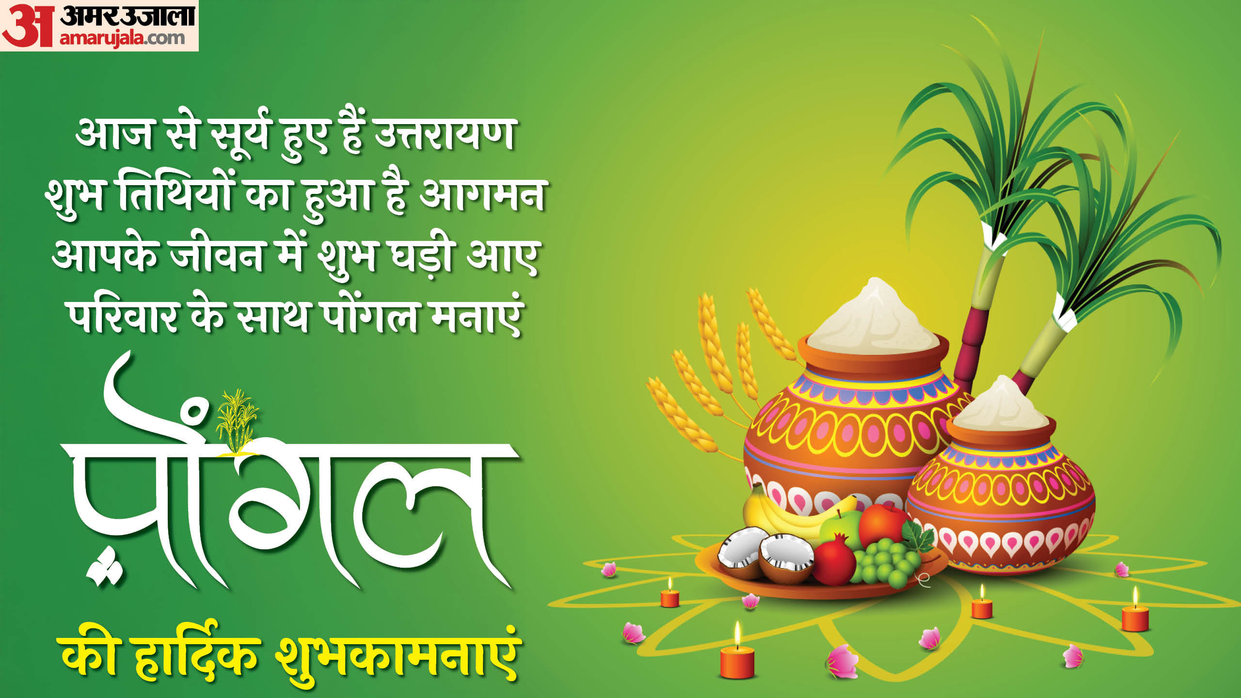 Pongal 2025 Wishes Messages Greetings Quotes Images To Share On whatsapp