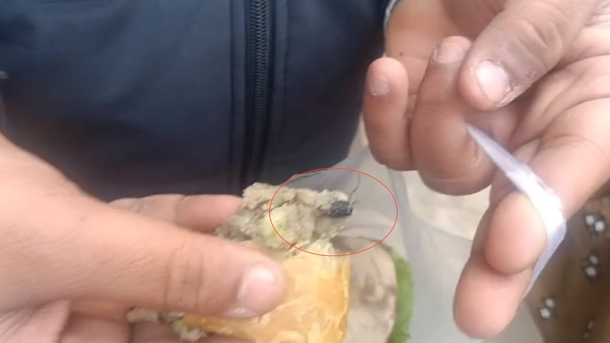An insect found in Samosa in Shri Rajastha Sweets.