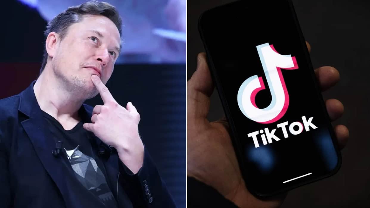 Elon Musk to buy TikTok US TikTok says reports of sale are pure fiction