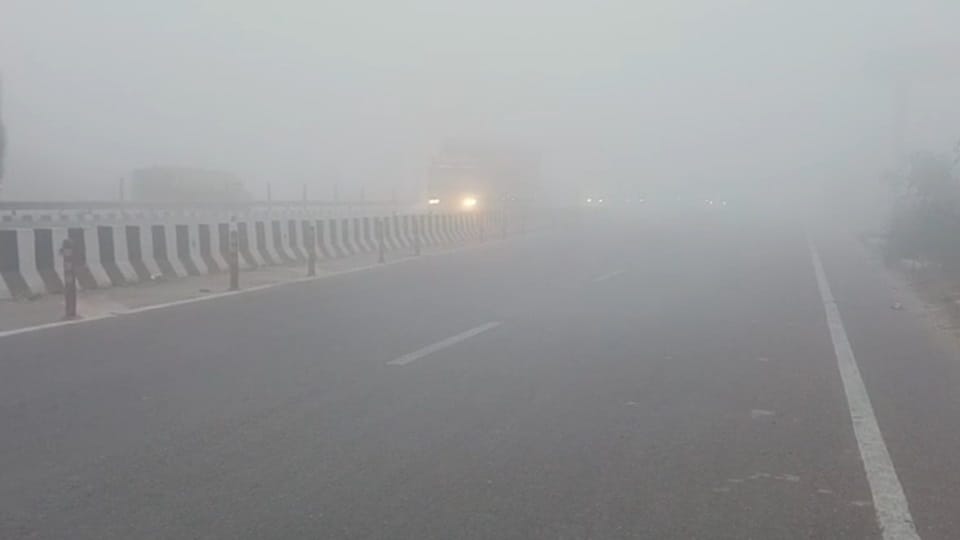 Weather update of haryana fog in many area