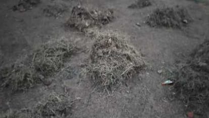Pottery found during excavation in Tilwada Baghpat, preparation for excavation at Kurdi m