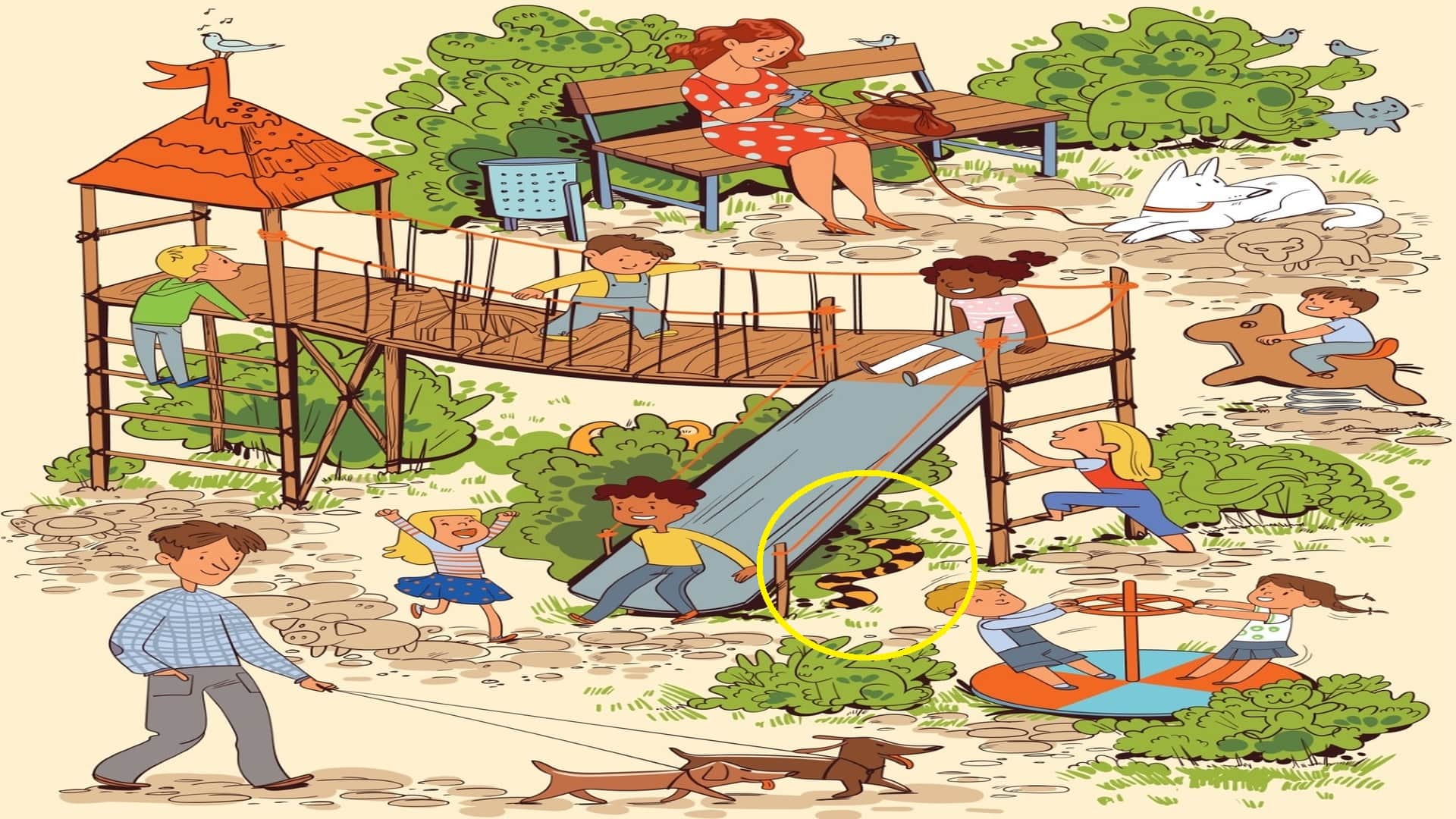 Optical Illusion Iq Test Brain Test Can You Spot Tiger in 11 Seconds Brain Teasrer
