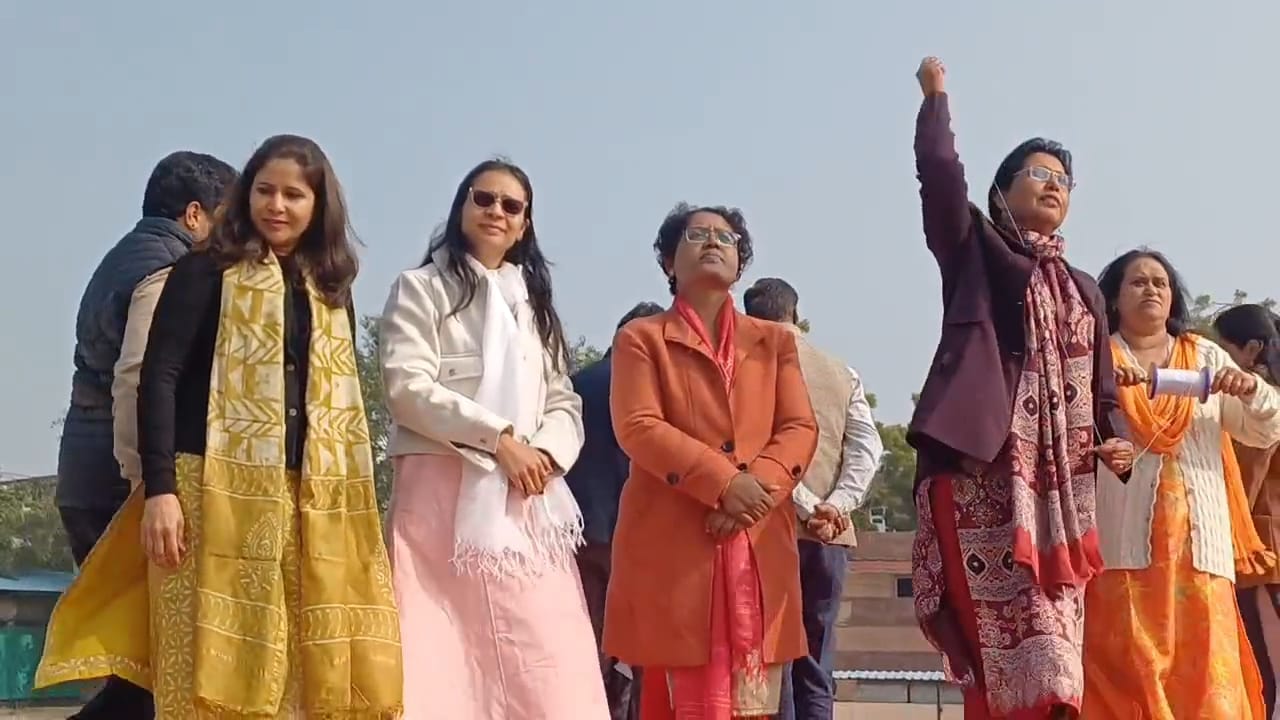 पतंग उत्सव