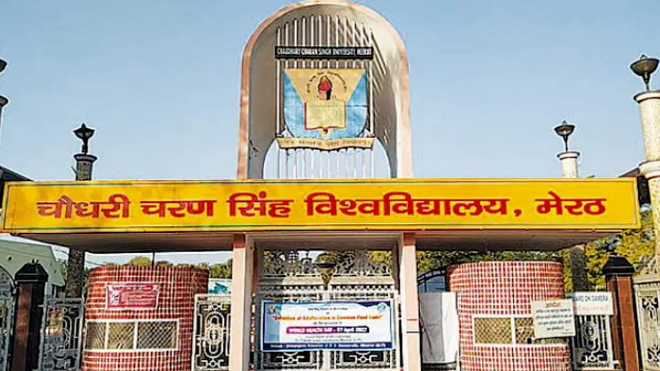 sasaesaya-maratha_12ffa8542372dd7332ed5d83c223724e.jpeg?w\u003d414\u0026dpr\u003d1.0\u0026q\u003d80