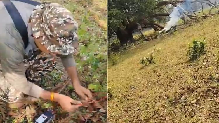 CG: जगदलपुर में पांच किलो का प्रेशर आईईडी बरामद, किया गया डिफ्यूज; सुरक्षाबलों को नुकसान पहुंचाने का था मकसद