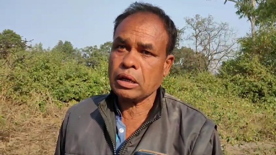 पीड़ुित कोटवार
