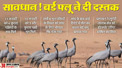 Bird flu virus: कुरजां पक्षियों में बर्ड फ्लू संक्रमण के बाद अलर्ट पर राजस्थान, निगरानी में हॉटस्पॉट एरिया Bird Flu Virus Update Jaisalmer Bird Flu Outbreaks Alert Kurja Infected Rajasthan News in Hindi