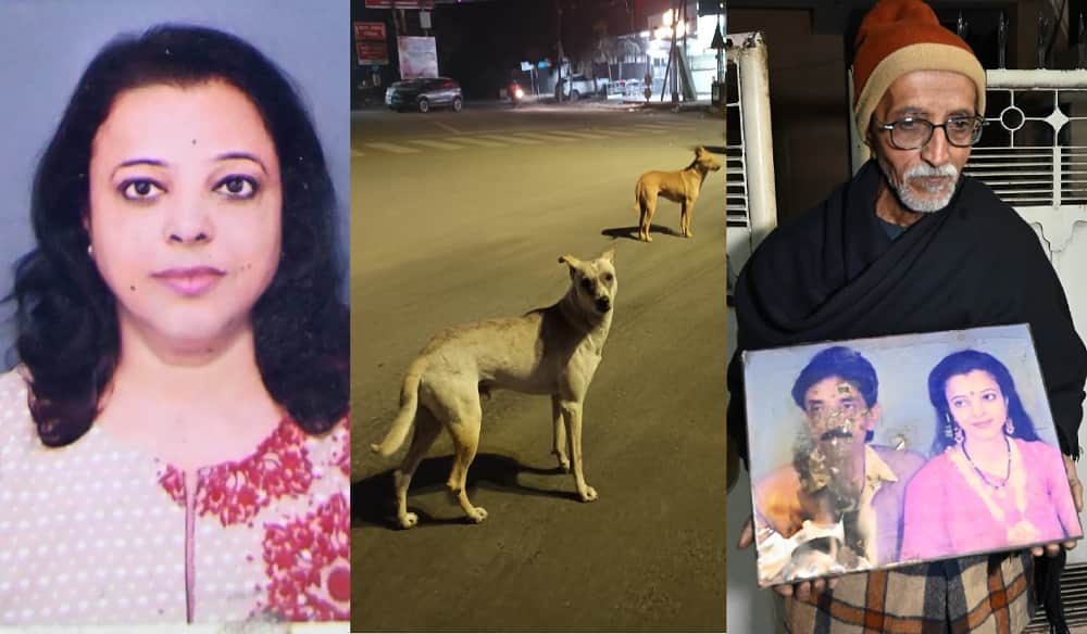 Yoga Teacher Death Auto driver had hit him police blamed dogs three bones of the head were broken