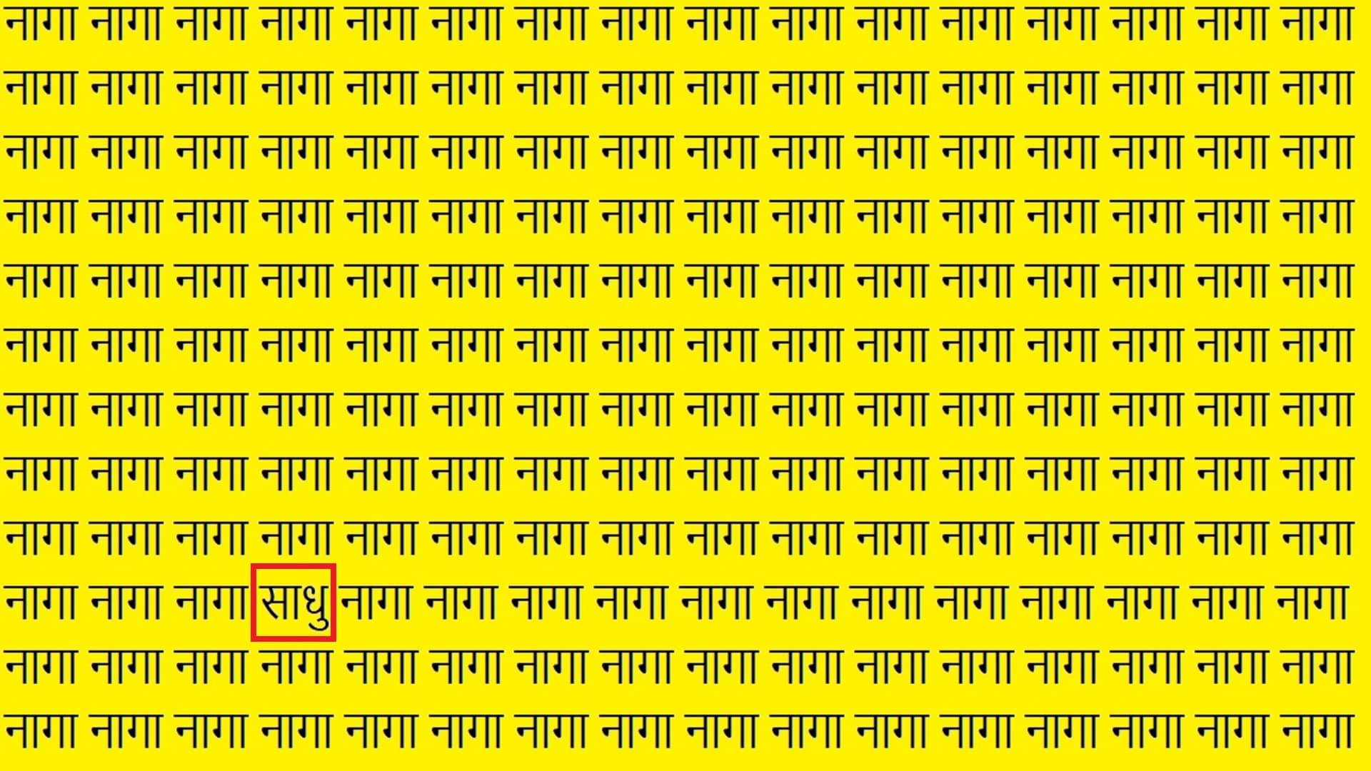 Optical Illusion iq test brain test can you spot naga in 13 seconds