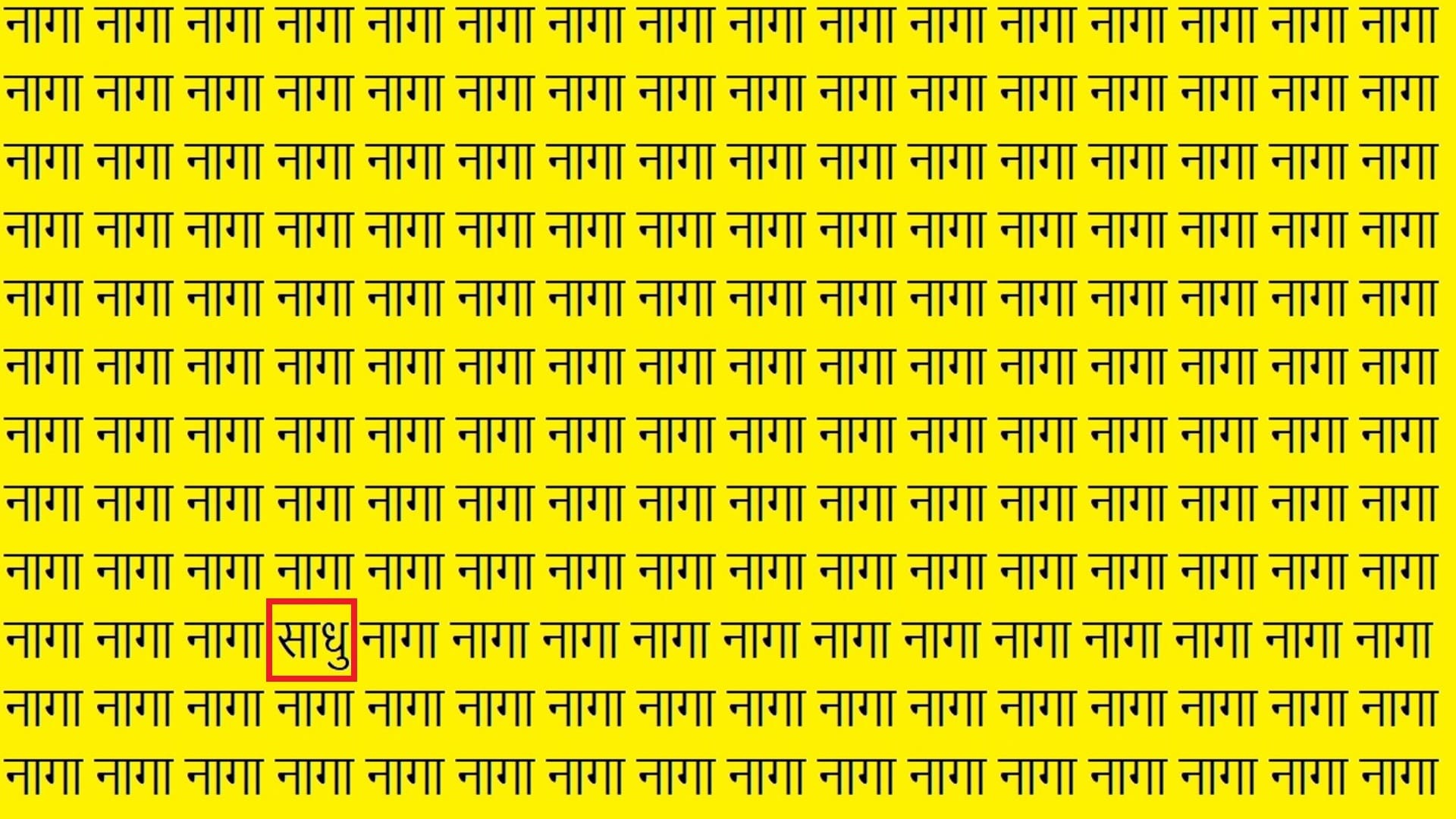 Optical Illusion iq test brain test can you spot naga in 13 seconds