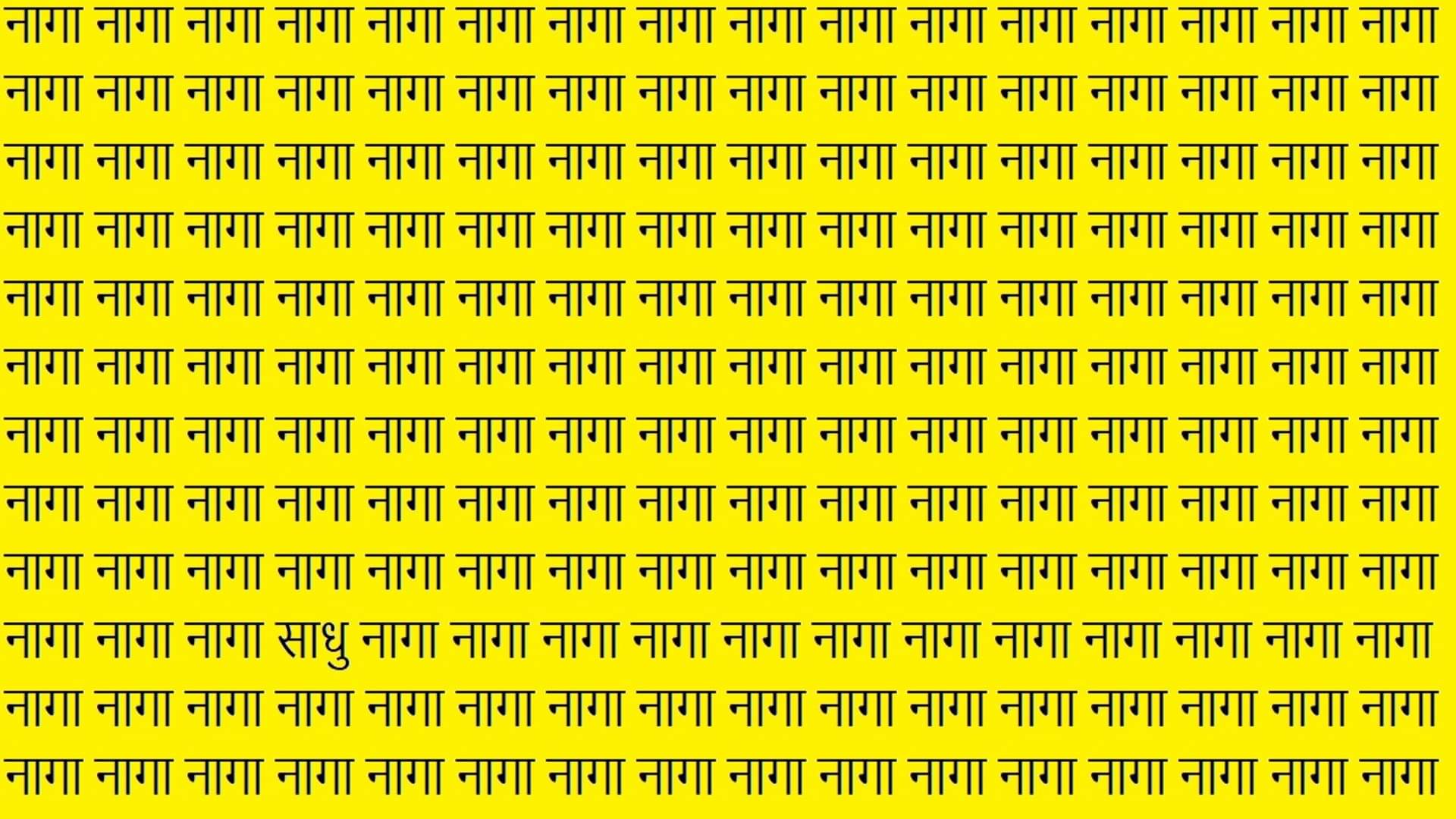 Optical Illusion iq test brain test can you spot naga in 13 seconds