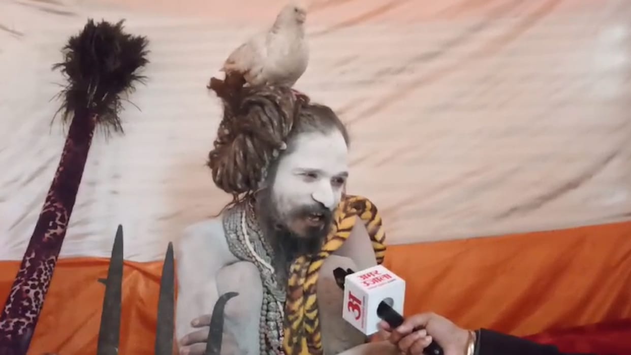 Pigeon named Hari Puri has been smoking with Naga Sanyasi for 10 years, offered nectar in Mahakumbh