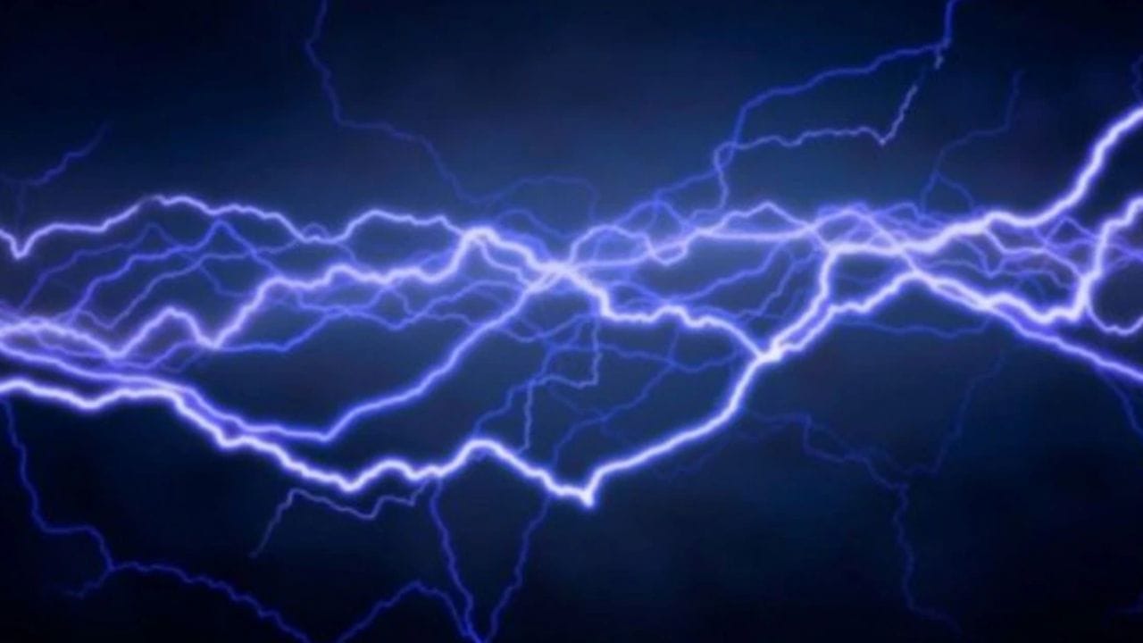 8 animals died and 2 injured due to electric shock after high tension line broke down in sirmaur