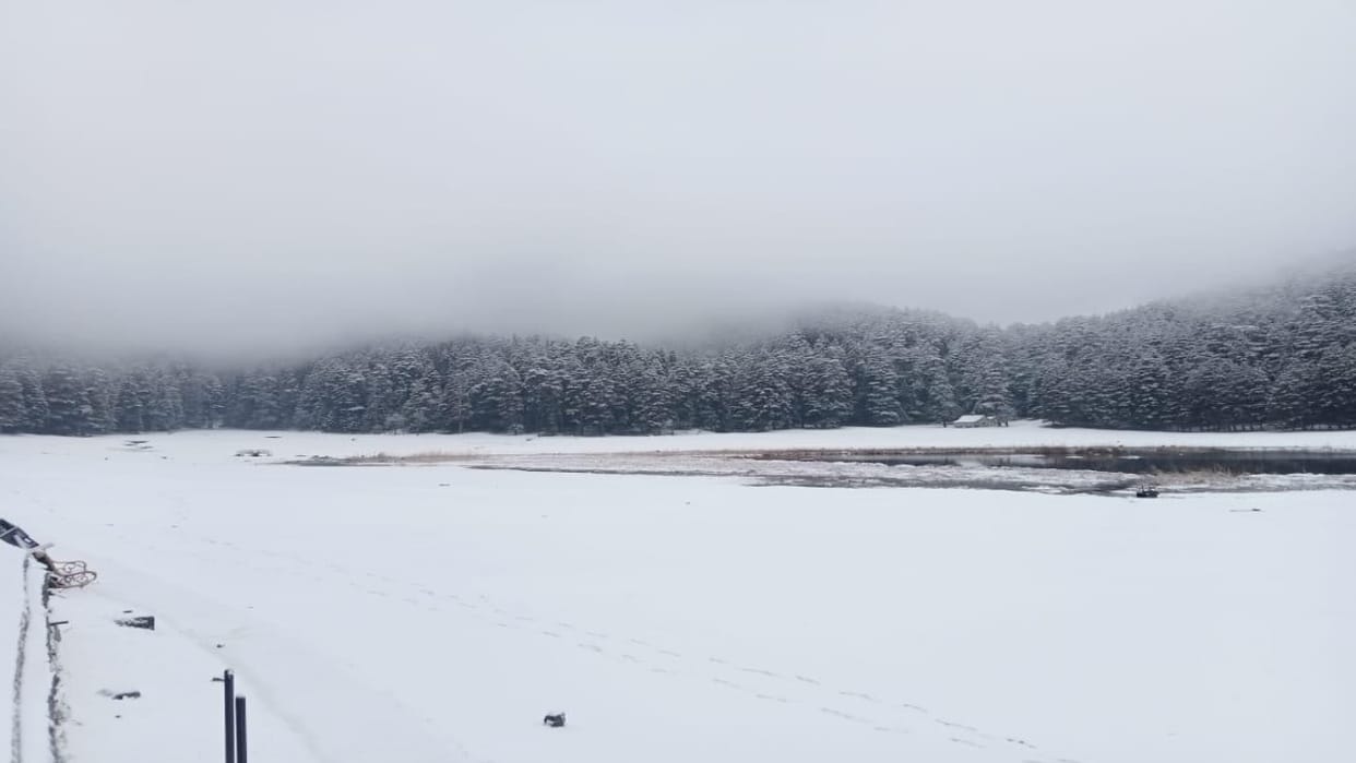 Himachal Weather: high altitude areas again covered in white sheet of snow, rain in many lower areas, see phot