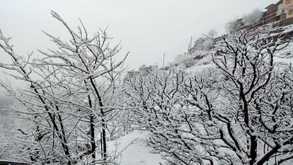 Himachal Weather: Yellow alert for thunderstorm and rain even today,