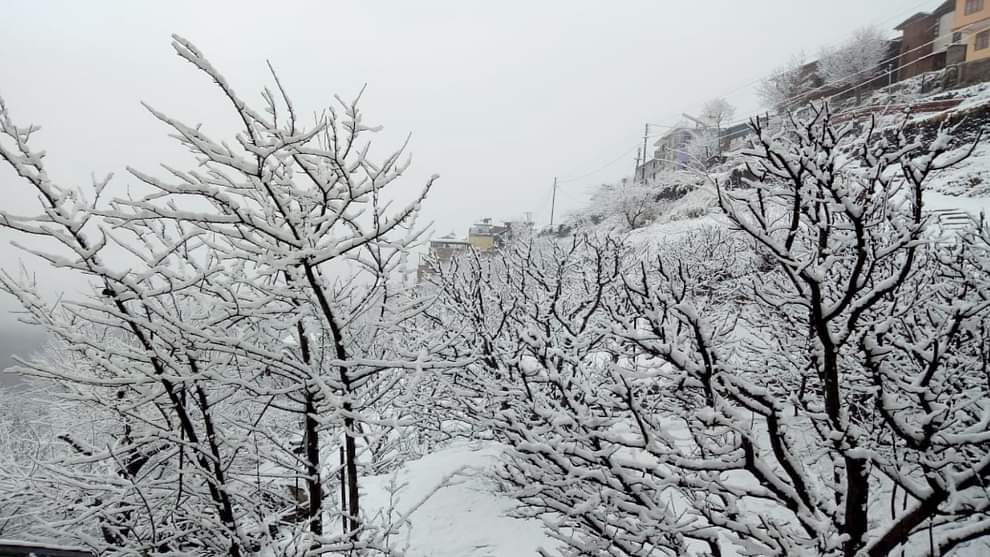 Himachal Weather: high altitude areas again covered in white sheet of snow, rain in many lower areas, see phot