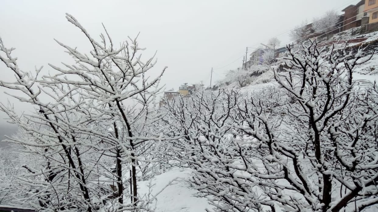Himachal Weather: imd forecast of rain and snowfall for five days in state