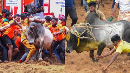 tamil nadu AIADMK chief Palaniswami assures Rs 10 lakh relief to tamers who die during Jallikattu