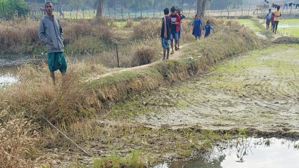 Dead body of missing youth found in pond in Raigarh district