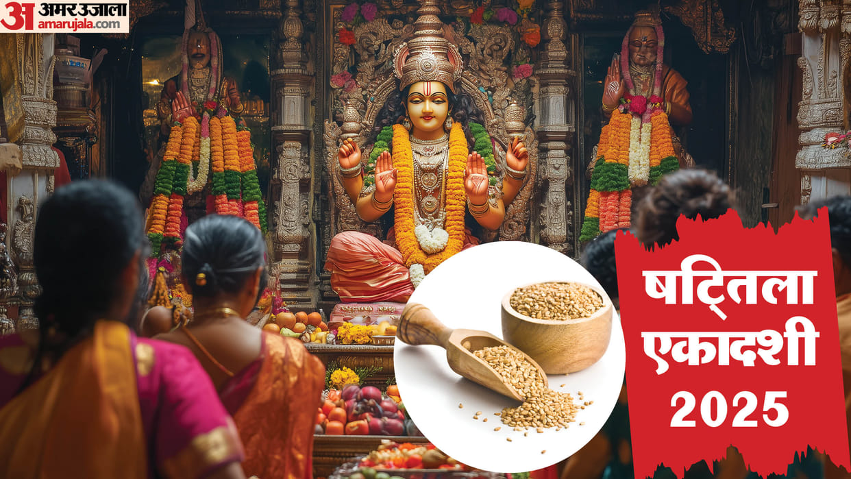 Shattila Ekadashi 2025 Upay Remedies Daan For Happy and Prosperous Life in hindi