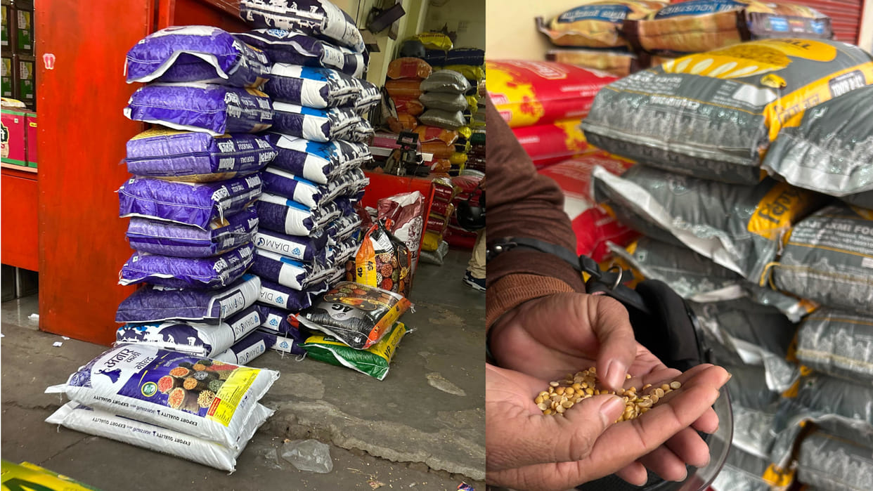 Black urad is being sold indiscriminately in Gorakhpur market, adulteration with moong of Rajasthan