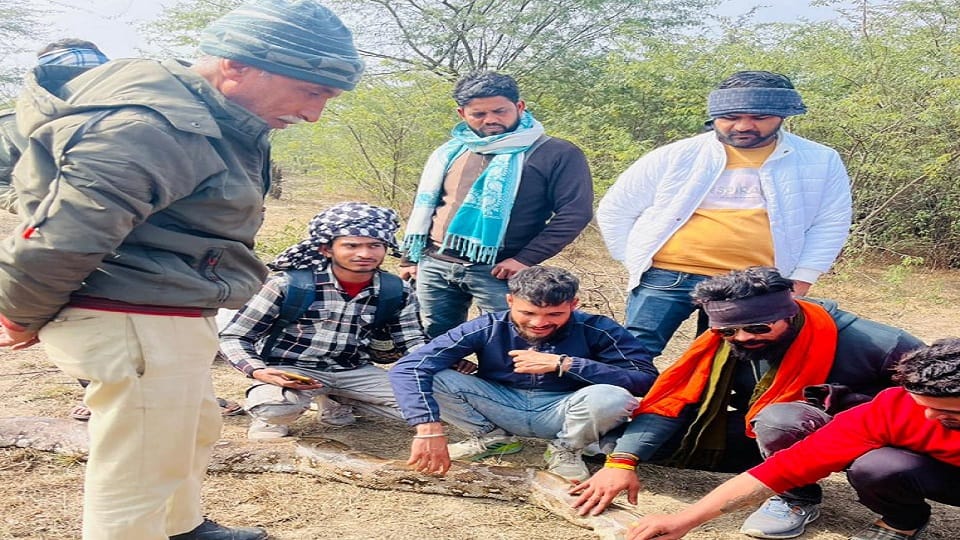 Injured python found in village Ghana