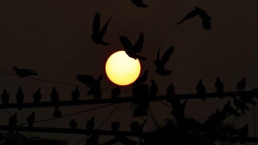 Indore Cold Wave Temperature Fluctuations with Fog and Icy Winds Intensify Chill
