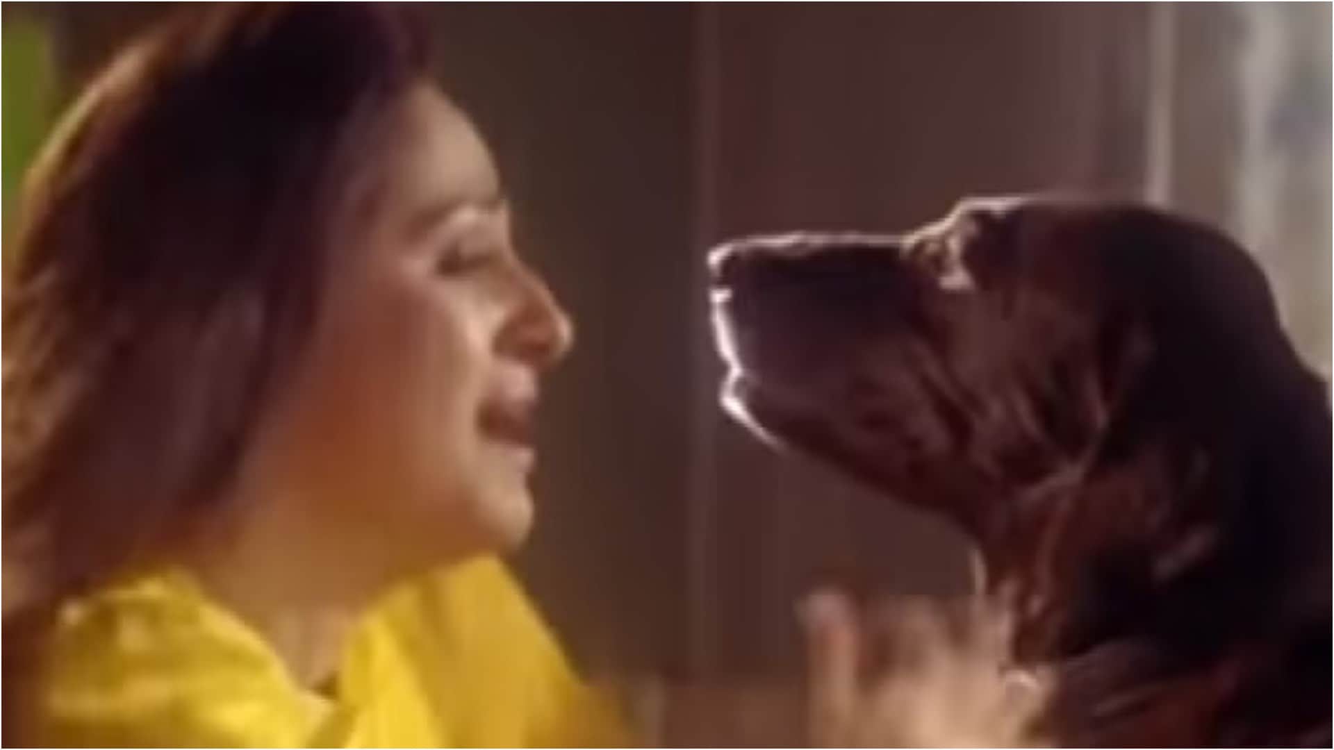 Movie Characters Who Get Popular More Than Star Cast Azaad Sholay Hum Aapke Hain Koun Haathi Mere Saathi