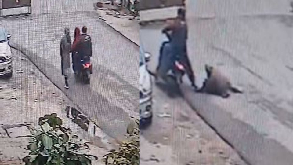 Robber was released from police post CCTV footage went viral then he was arrested