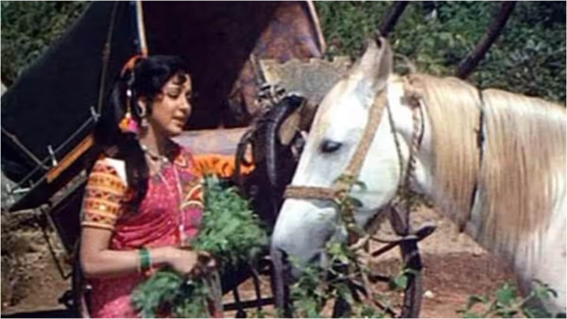 Movie Characters Who Get Popular More Than Star Cast Azaad Sholay Hum Aapke Hain Koun Haathi Mere Saathi