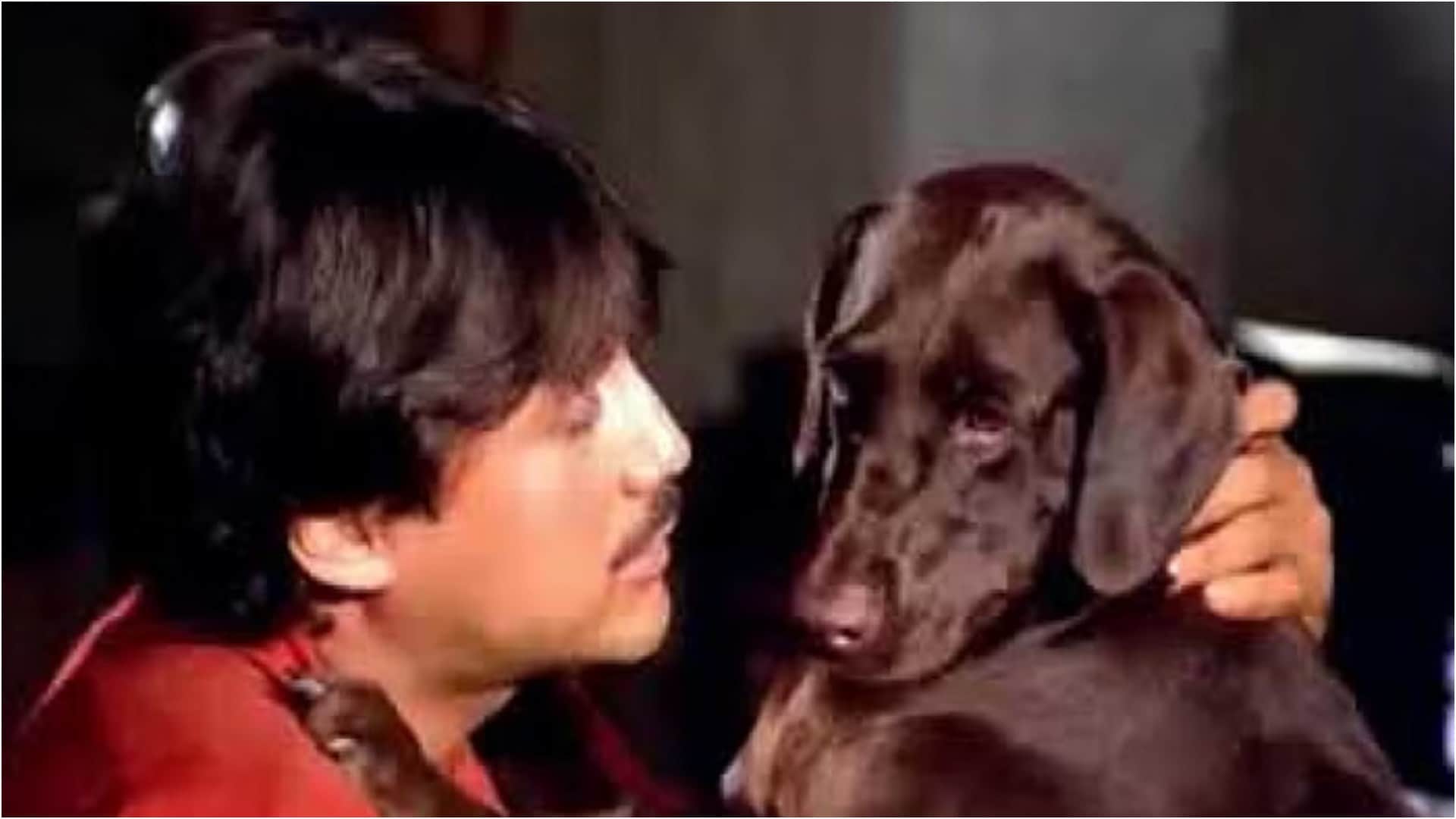Movie Characters Who Get Popular More Than Star Cast Azaad Sholay Hum Aapke Hain Koun Haathi Mere Saathi