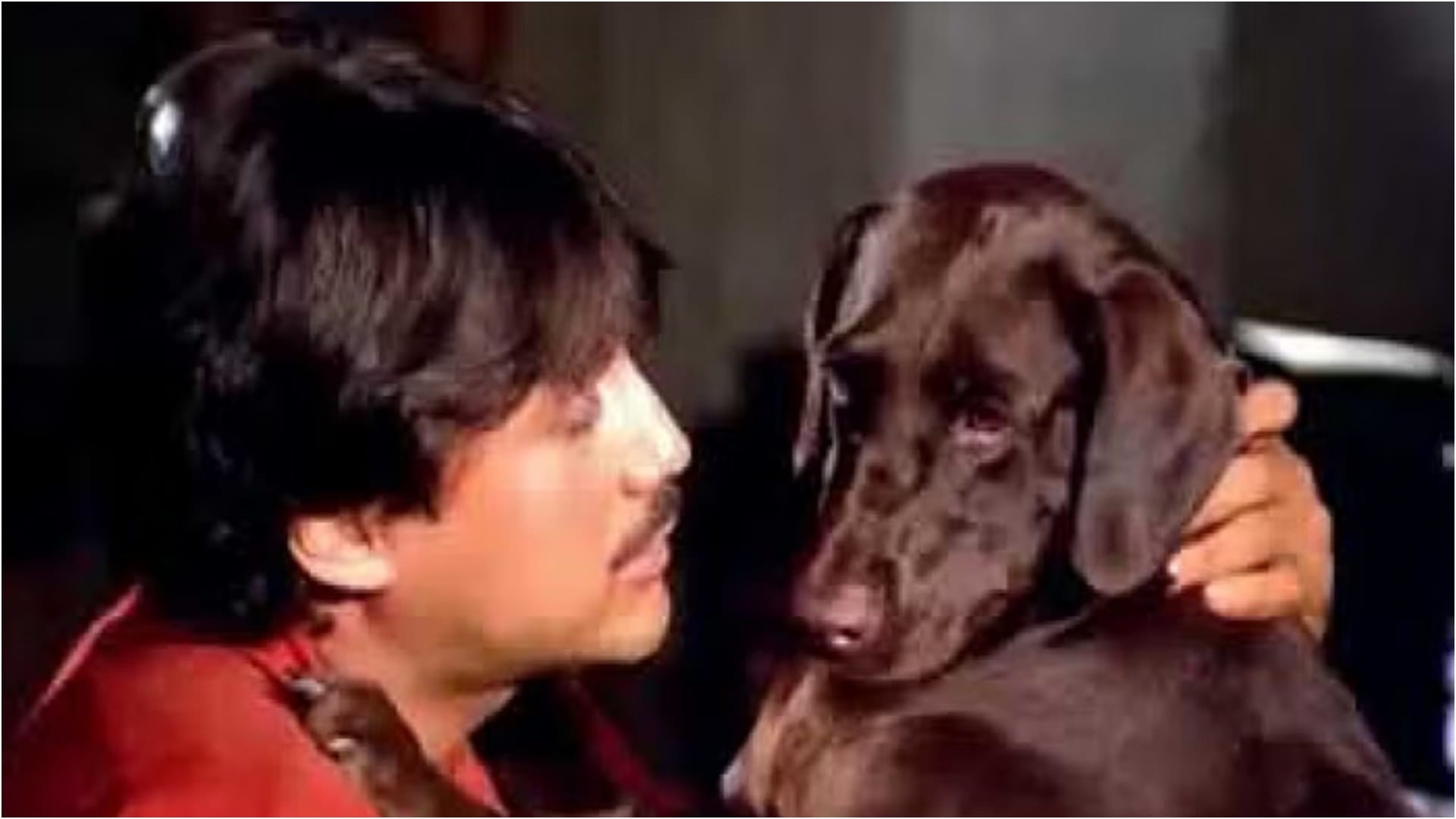 Movie Characters Who Get Popular More Than Star Cast Azaad Sholay Hum Aapke Hain Koun Haathi Mere Saathi
