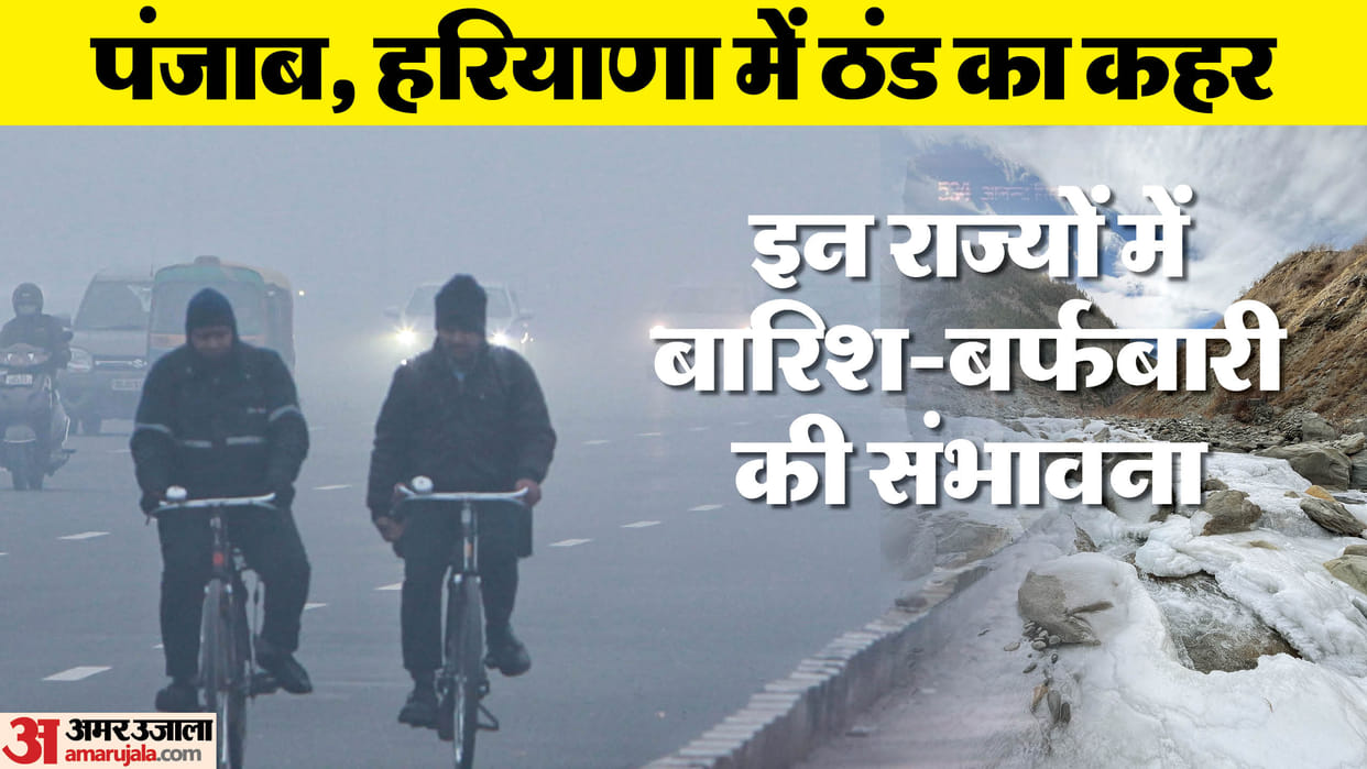 Cold weather persists in Punjab, Haryana; fog enveloped many places, News in hindi