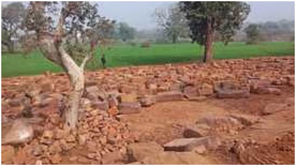 Damoh News Ancient Shiv Temple History Kalchuri Period Shiva Mandir Found in Doni Village Madhya Pradesh