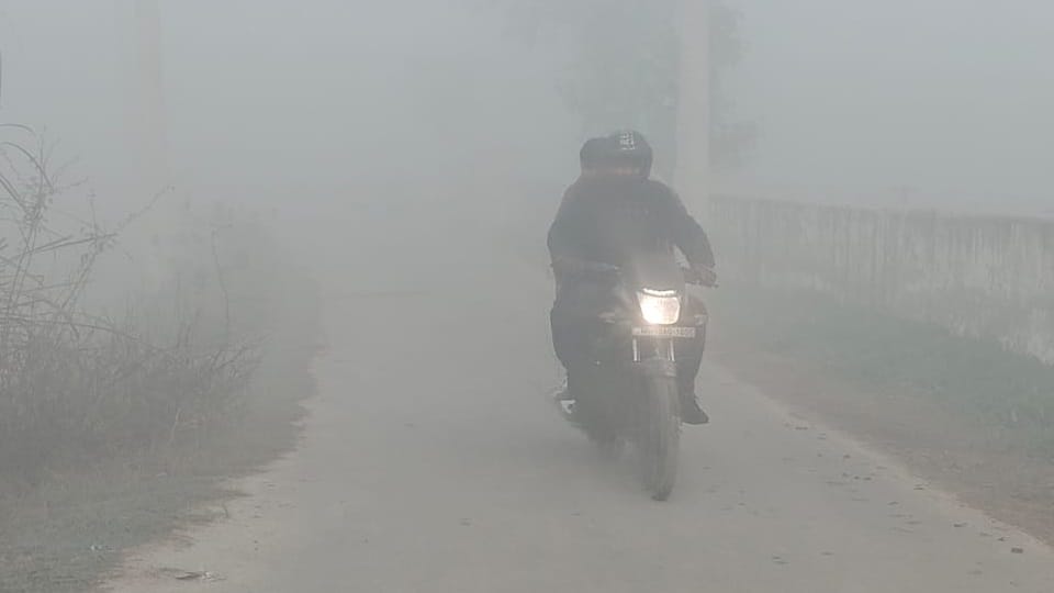 Fog in Seven districts of Haryana