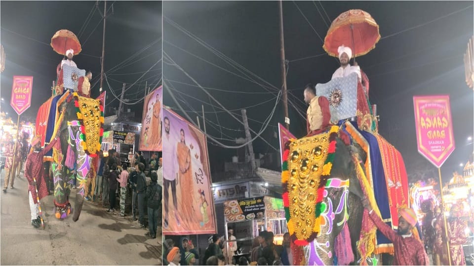 unique wedding groom on elephant royal wedding in etah up news