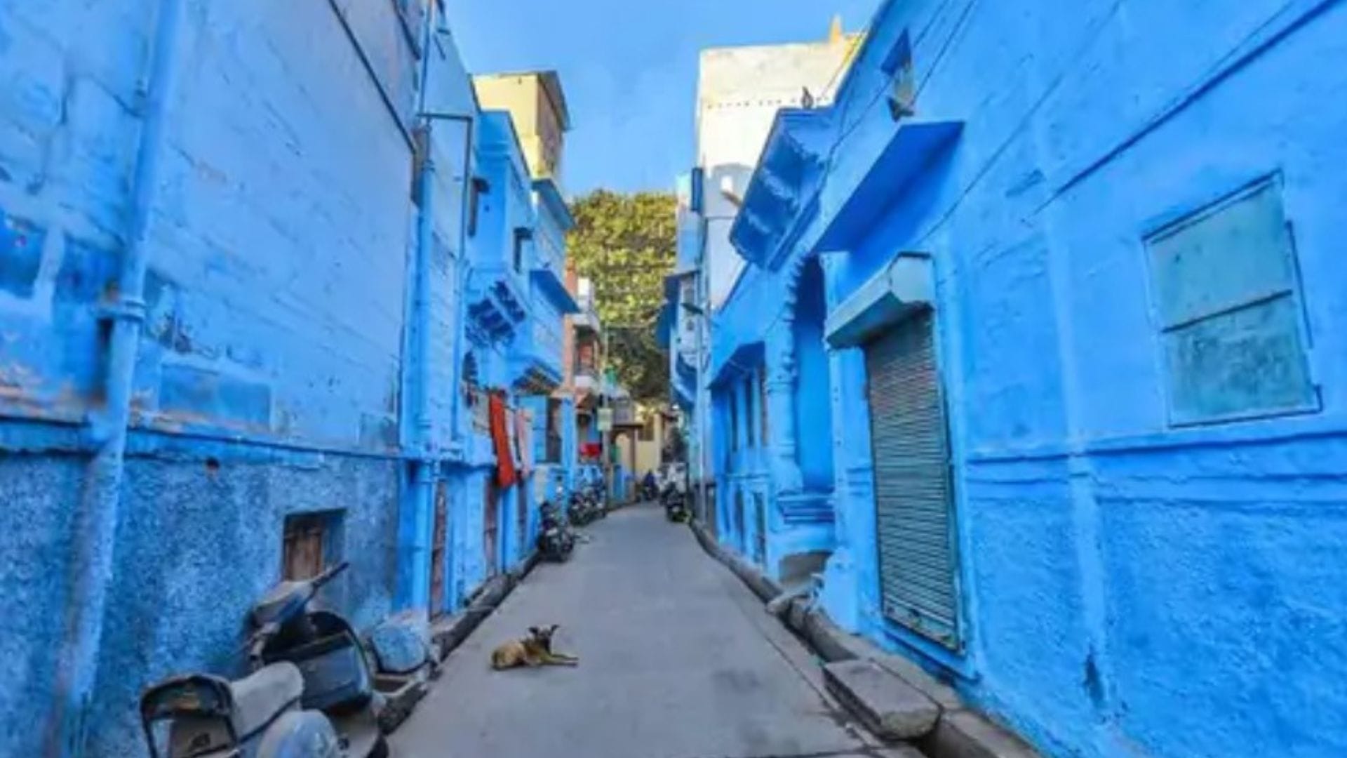 Why Jodhpur Is Called Blue City Know Interesting Facts History All You Need to Know