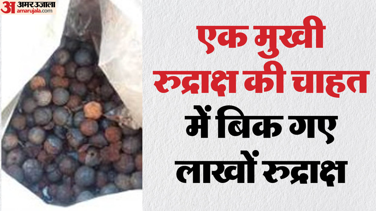 Prayagraj Mahakumbh 2025 Most Expensive Rudraksha 1 Mukhi Rudraksha Prasad