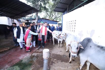 Bihar News : Bihar Election 2025 tejashwi yadav bihar caste census issue sideline by rahul gandhi