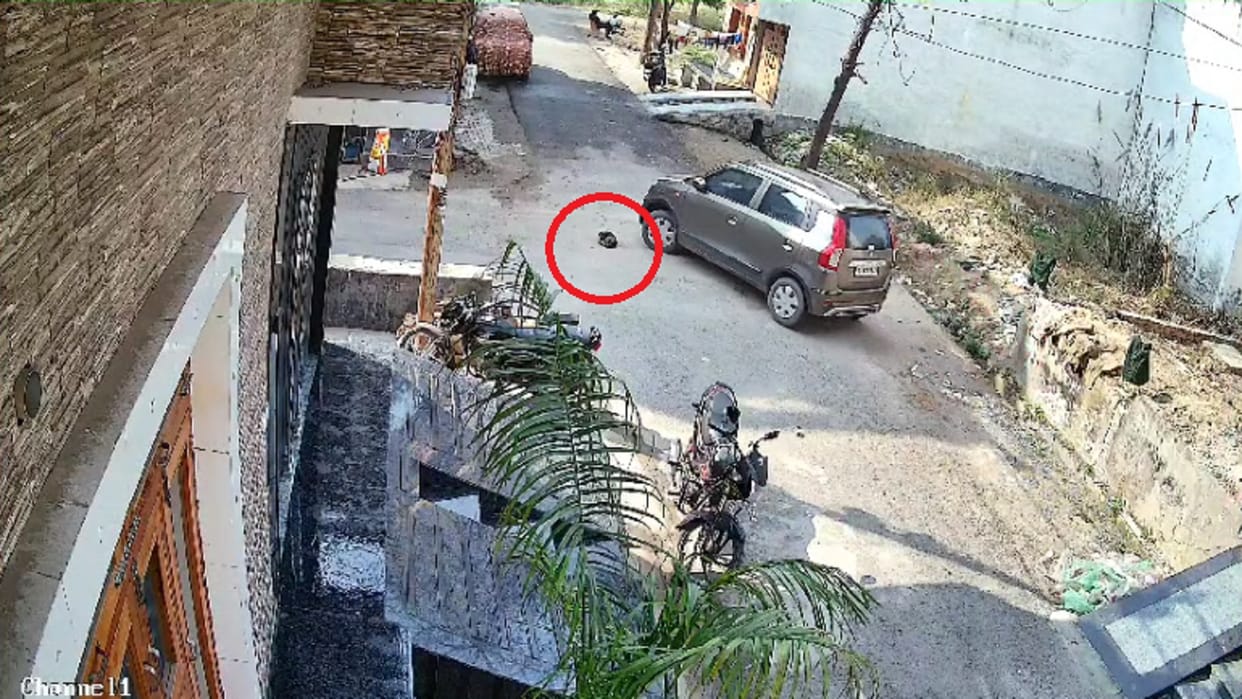 Puppy sleeping outside house trampled four times by car In Bulandshahr cruelty of accused was captured in CCTV
