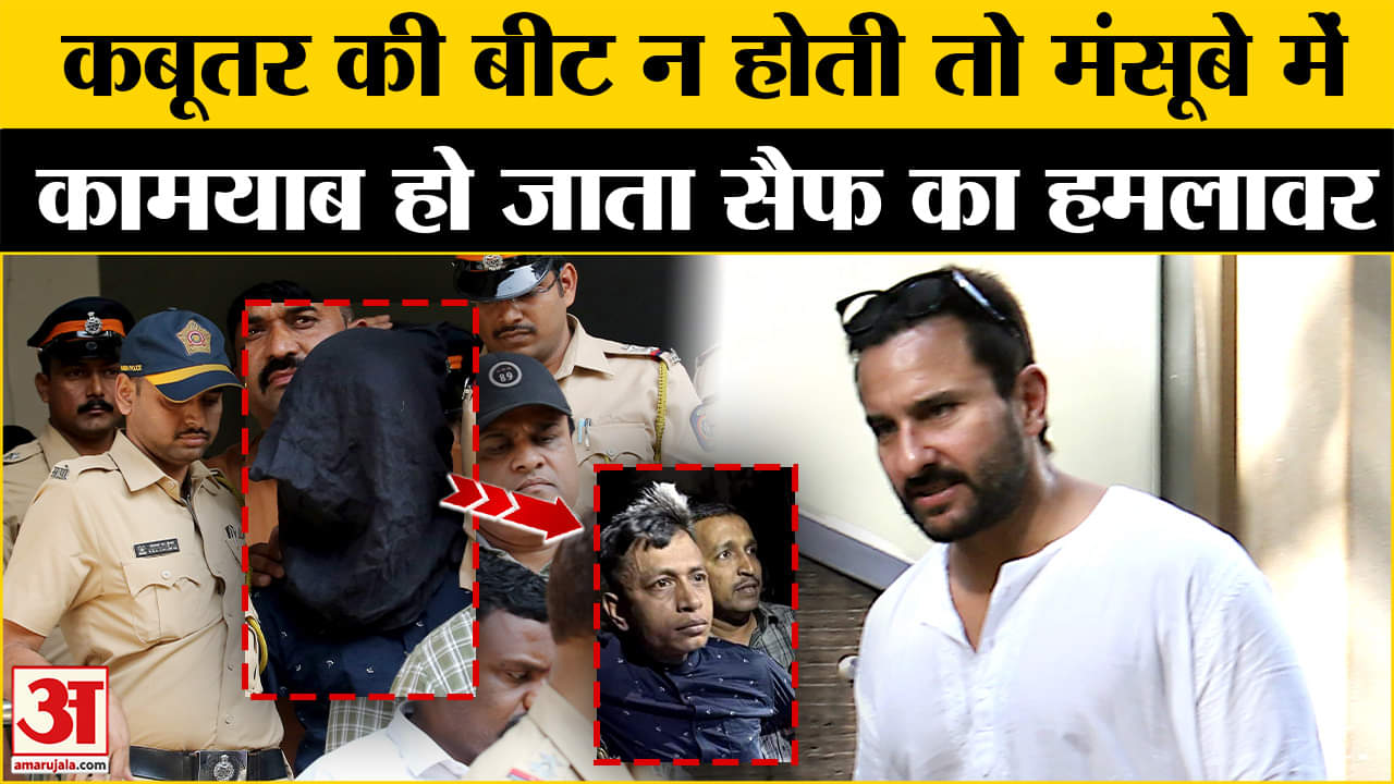 Saif Ali Khan Attack: Saif केस में कबूत्तर की एंट्री से ऐसे बची जान! Amar Ujala