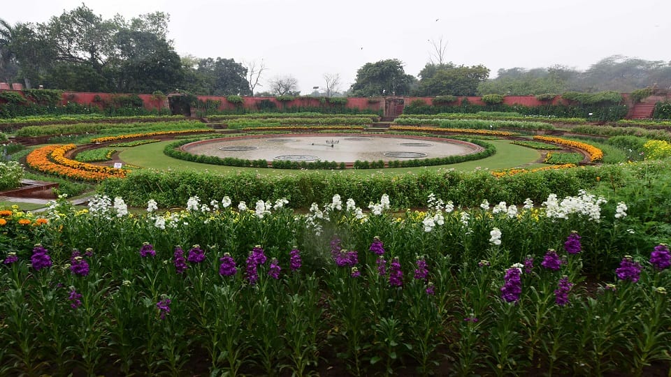 Amrit Udyan of Rashtrapati Bhavan will open for the general public from February 2