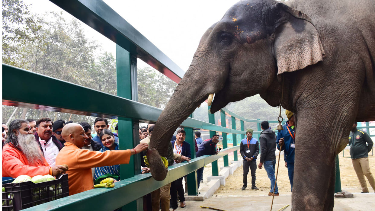 CM Yogi named the tiger in Gorakhpur Zoo, released the elephant Ganga Prasad in the rescue center (enclosure).