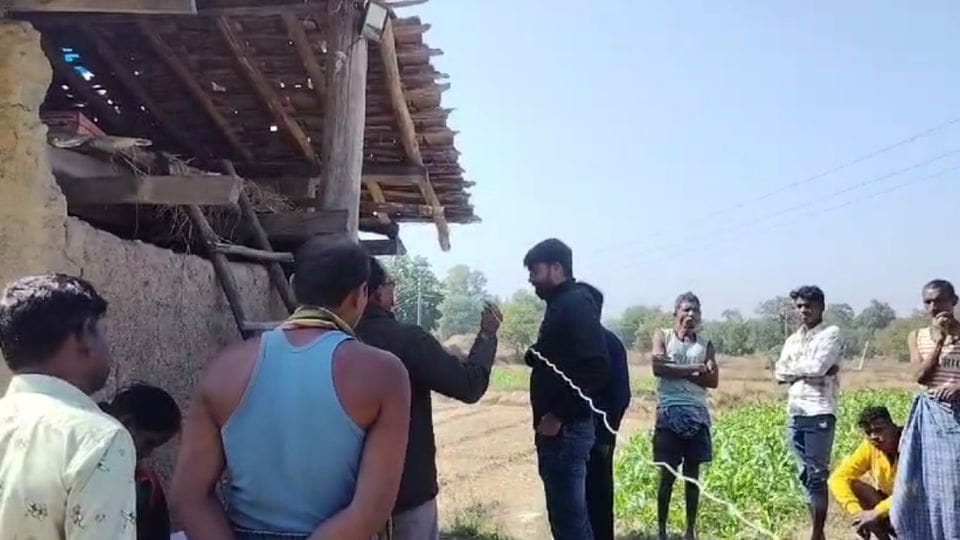 Elephant dies due to electrocution in Raigarh