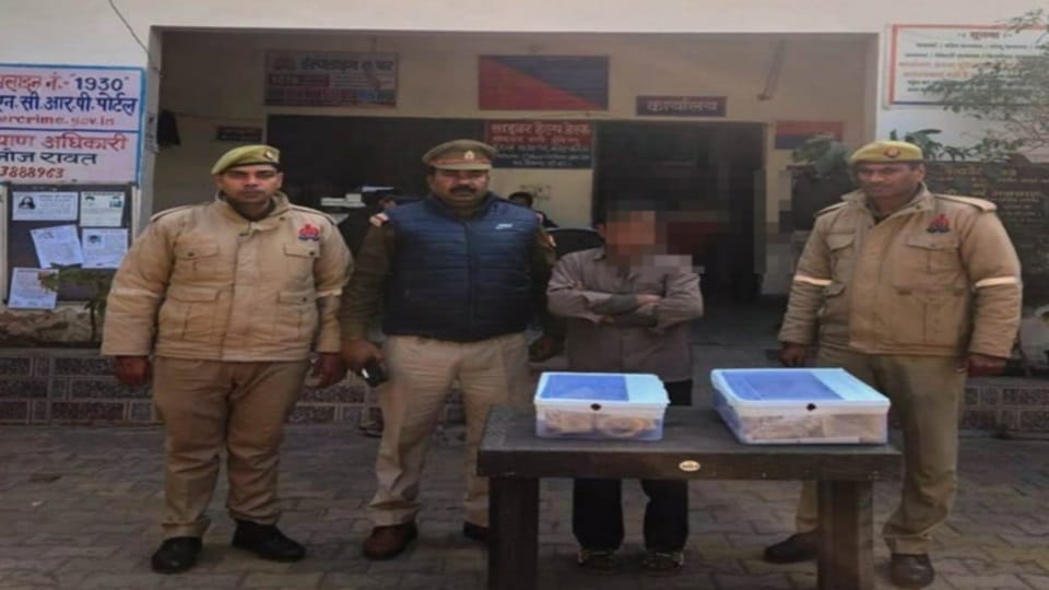 thief who stole the brass idol from the warehouse was caught