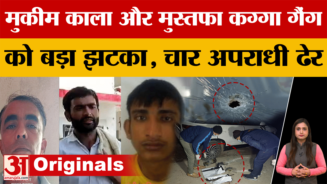 Shamli Encounter: Big operation of STF in Shamli, 4 killed including a criminal with a bounty of 1 l