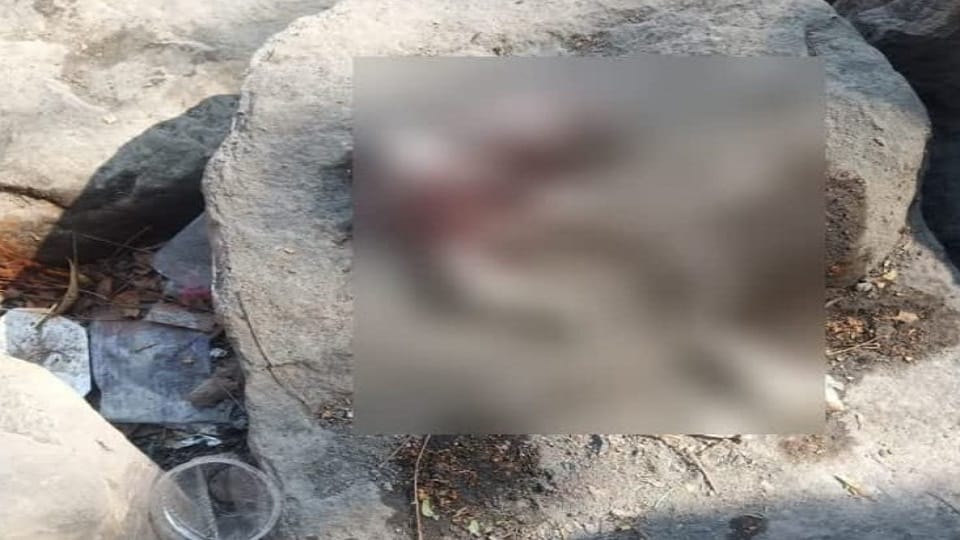 नवजात का मिला शव